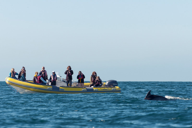 journée étudiant bateau