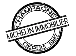 Logo Michelin Immo